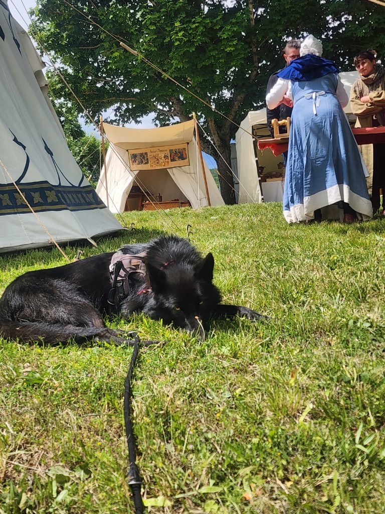 Fenrir allongé dans l'herbe devant un campement médiéval.