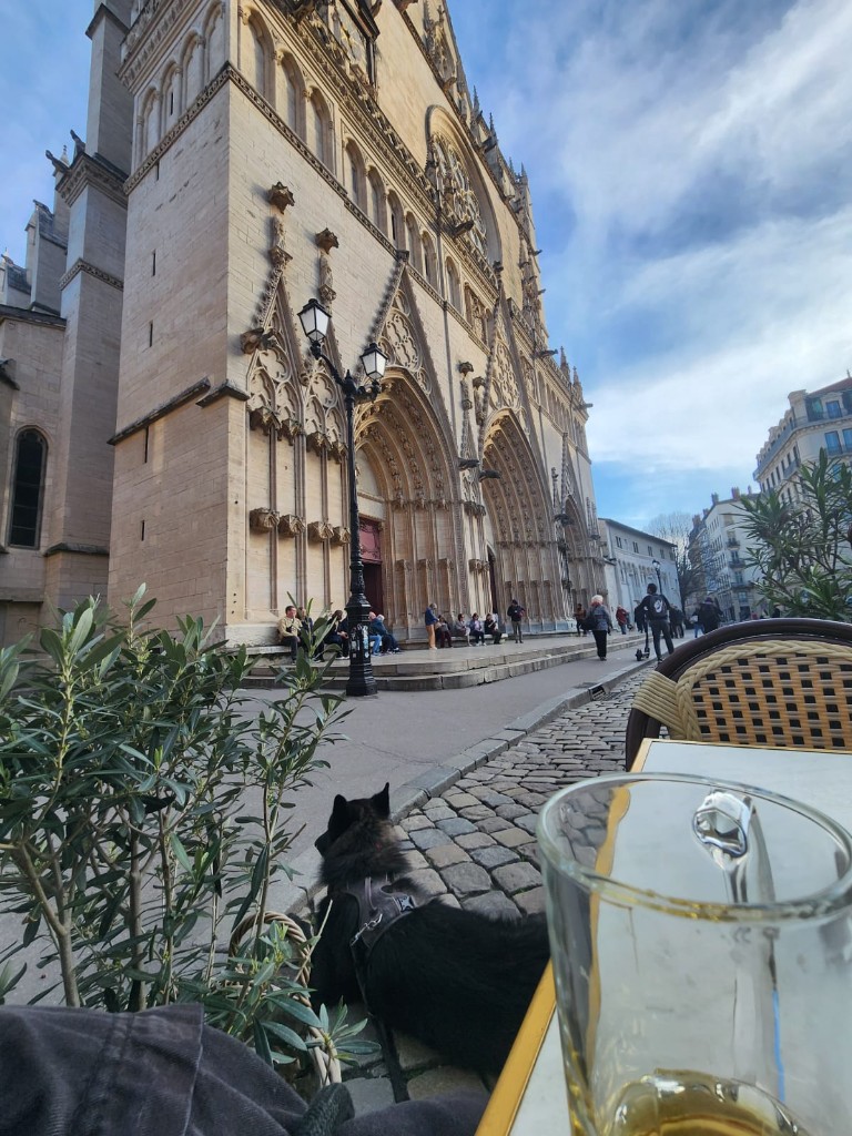 Fenrir allongé sur des pavés devant la cathédrale Saint-Jean de Lyon, vue depuis une terrasse.